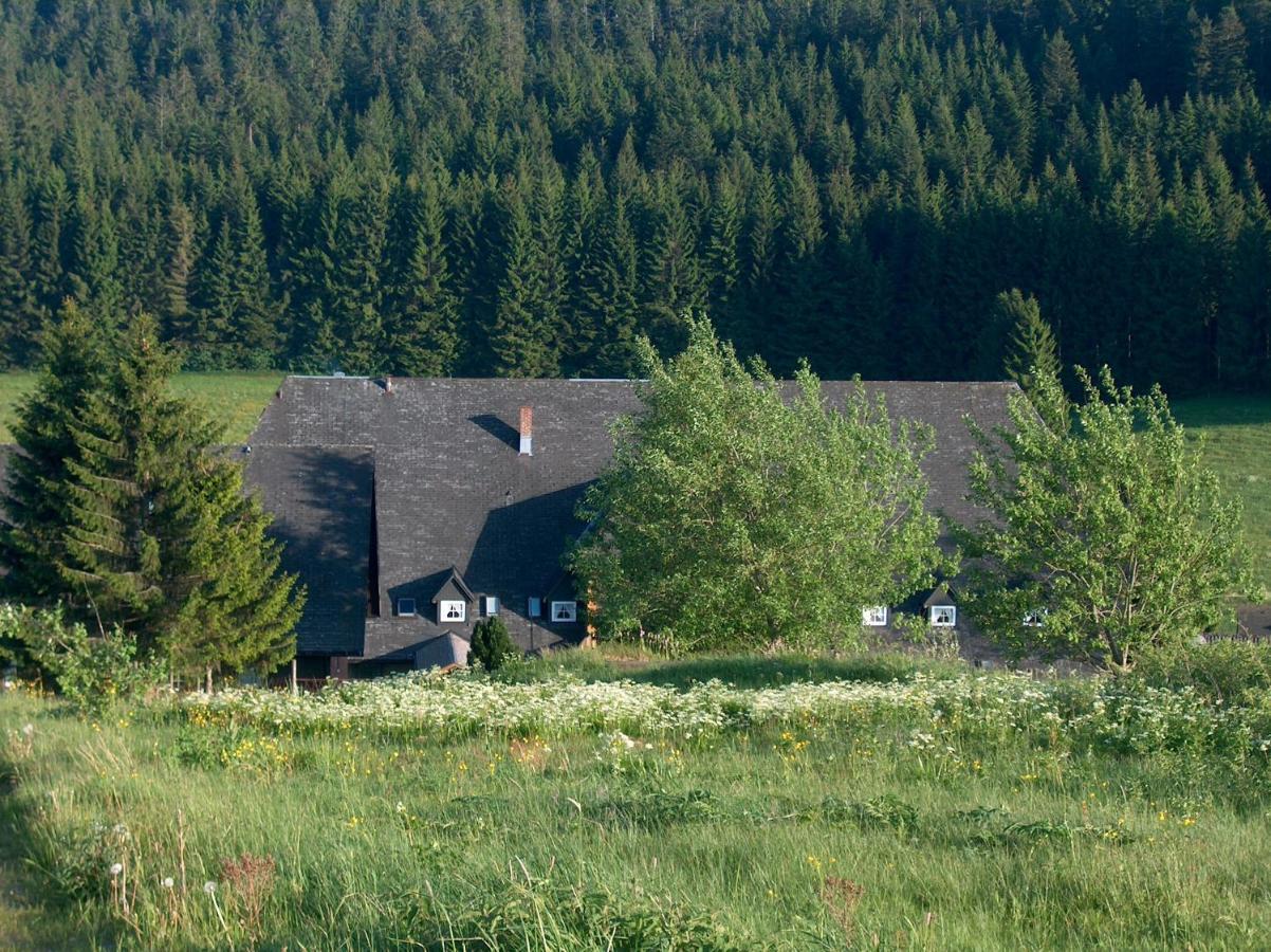 Zur Traube Schwarzwaldhotel & Restaurant Am Titisee 圣玛尔根 外观 照片