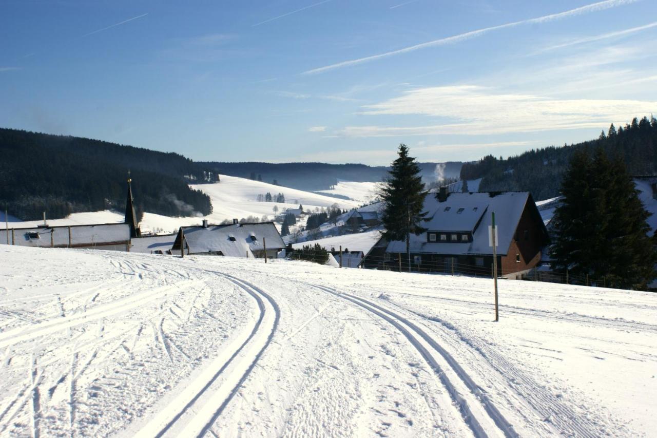 Zur Traube Schwarzwaldhotel & Restaurant Am Titisee 圣玛尔根 外观 照片