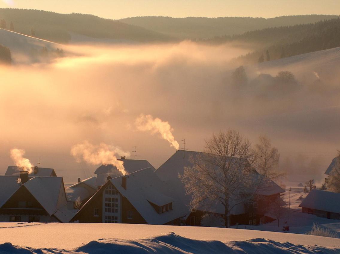 Zur Traube Schwarzwaldhotel & Restaurant Am Titisee 圣玛尔根 外观 照片