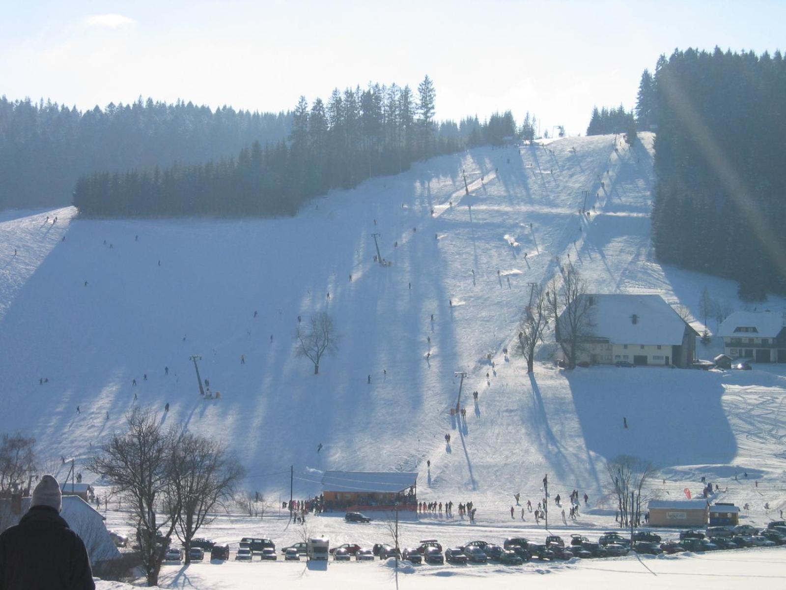 Zur Traube Schwarzwaldhotel & Restaurant Am Titisee 圣玛尔根 外观 照片