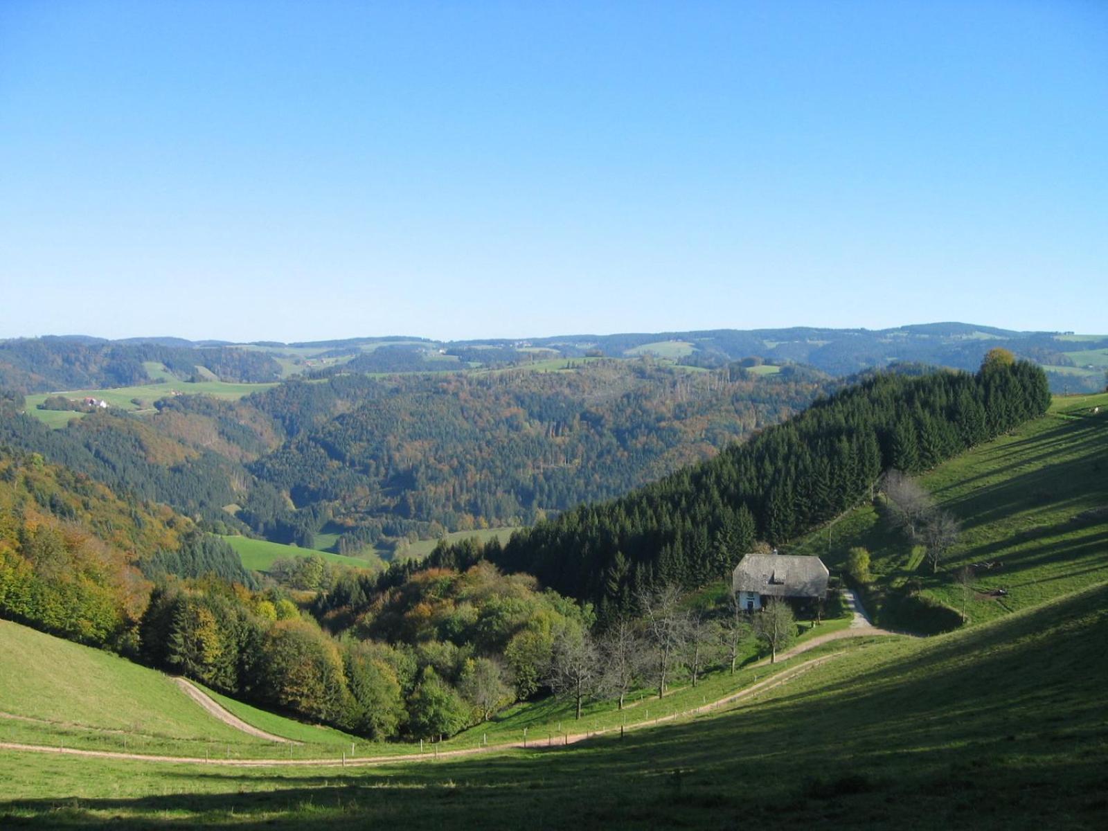 Zur Traube Schwarzwaldhotel & Restaurant Am Titisee 圣玛尔根 外观 照片