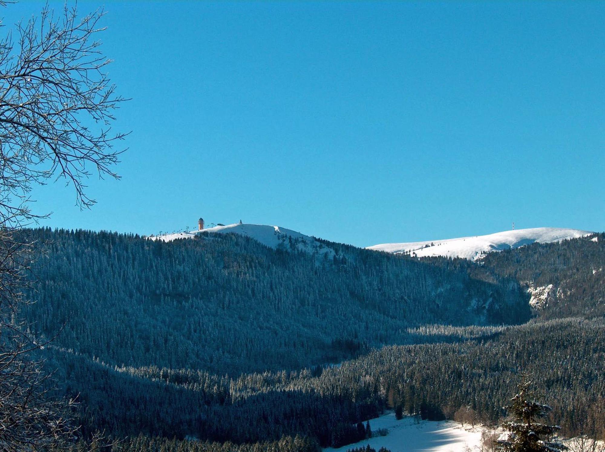 Zur Traube Schwarzwaldhotel & Restaurant Am Titisee 圣玛尔根 外观 照片