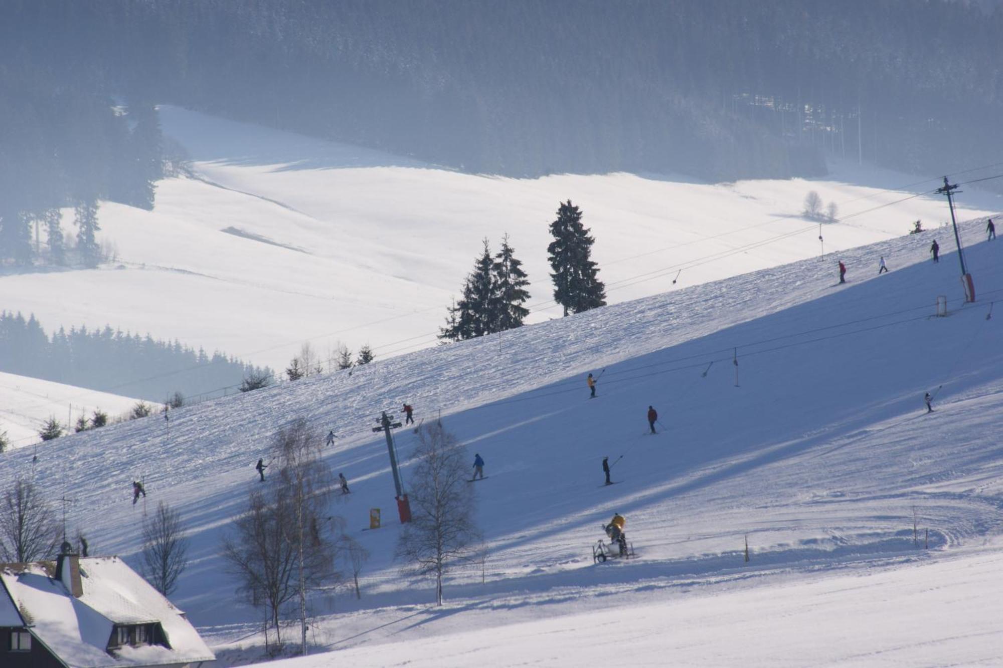 Zur Traube Schwarzwaldhotel & Restaurant Am Titisee 圣玛尔根 外观 照片