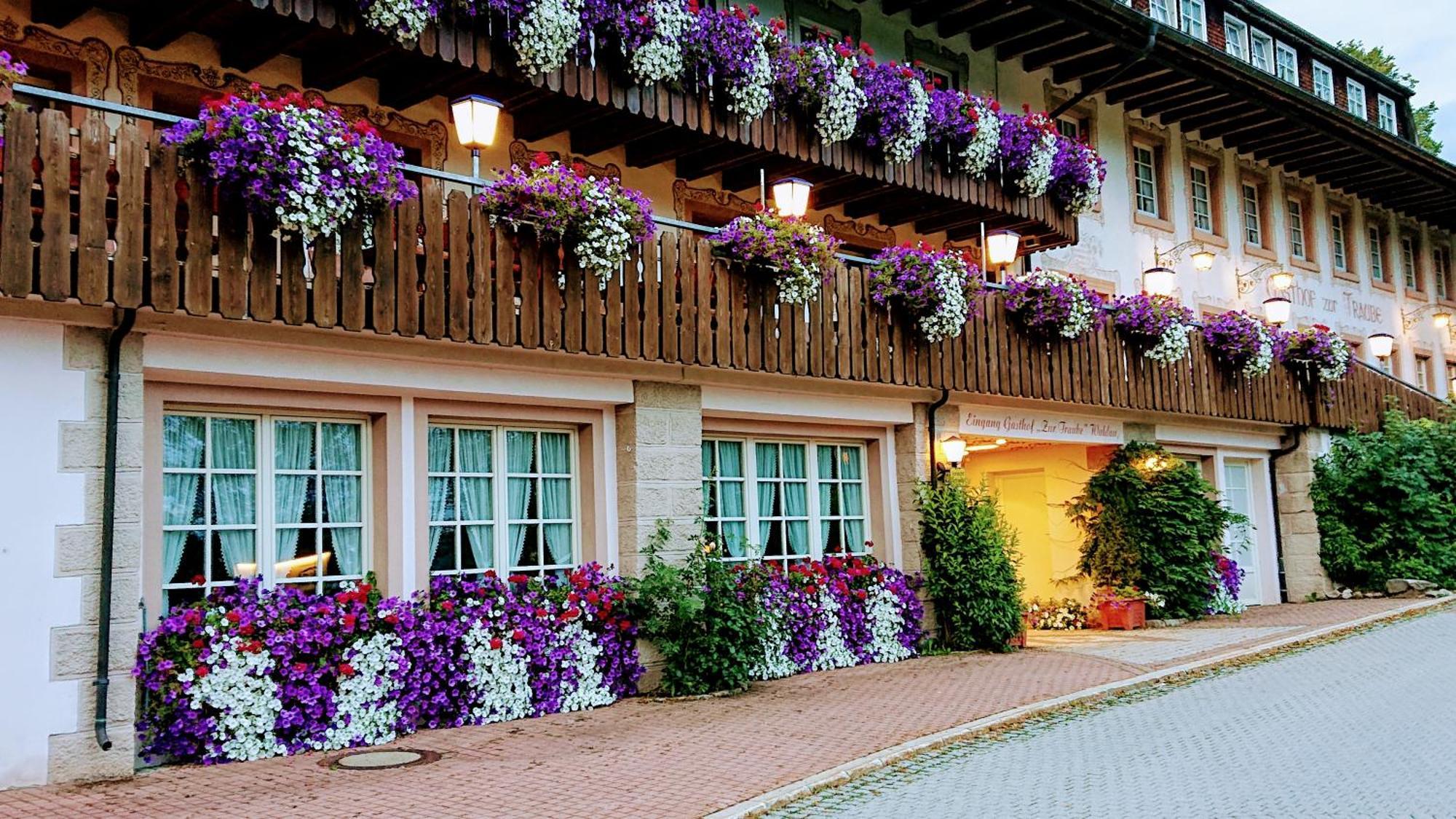Zur Traube Schwarzwaldhotel & Restaurant Am Titisee 圣玛尔根 外观 照片
